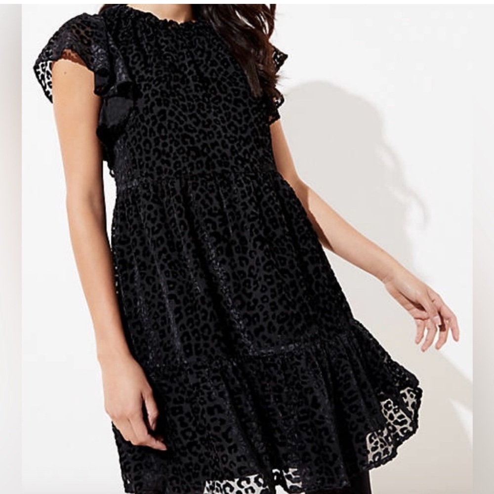loft new w tags size m black dress leopard velvet print